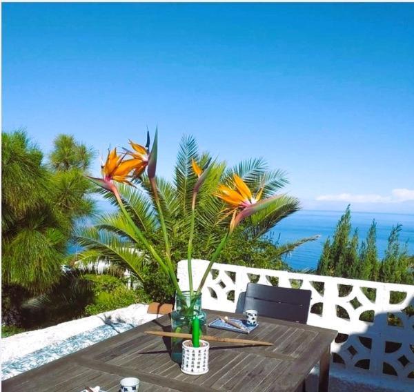 Zenrepublic, Your Private Villa With Outdoor Jacuzzi & Pool With Stunning Ocean Views Puntillo Del Sol Экстерьер фото
